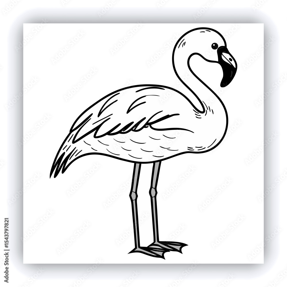 Fototapeta premium Horizontal banner with two beautiful colorful toucan birds (Ramphastidae) on a branch in a rainforest. Couple of toucan bird and leaves of tropical plants on sunny background. Copy space for text