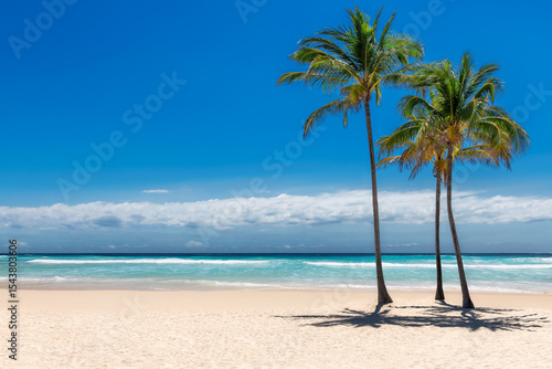 Fototapeta Naklejka Na Ścianę i Meble -  Sunny tropical sandy beach with coco palms and the turquoise sea in Caribbean island.