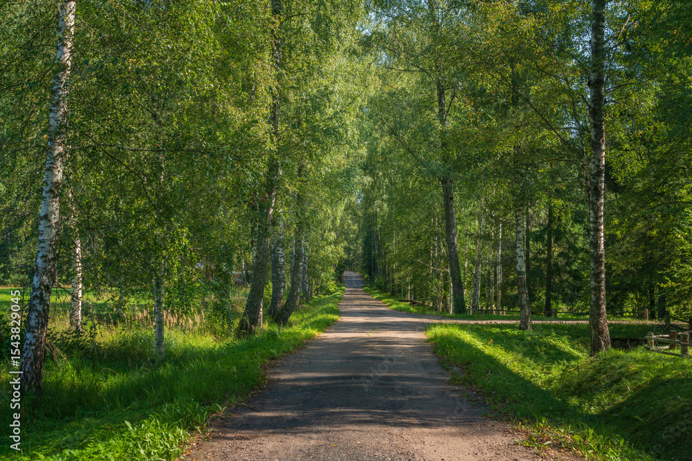 Obraz premium The country road to the Mikhailovskoye estate along the Festive glade on the territory of the Pushkin Museum-Reserve on a sunny summer day, Pushkinskiye Gory, Pskov region, Russia