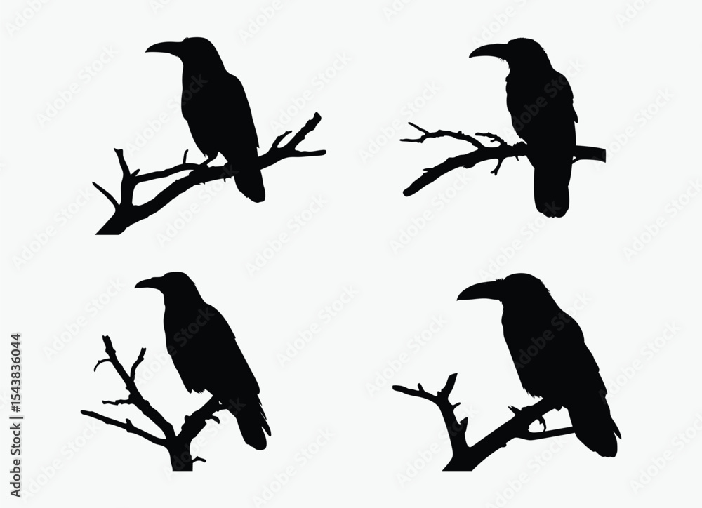 Obraz premium Crow on tree branch set , bird silhouette vector, perched black and white illustration, spooky clipart, white background