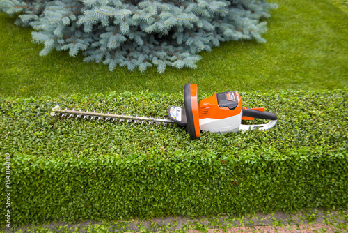 Hedge trimmer lie on a trimmed boxwood. Selective focus. Front view.