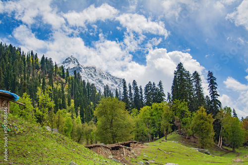 Snow-Capped Himalayan Peaks and Dense Pine Forests in Sonamarg, Kashmir with Traditional Mountain Huts and Green Landscape