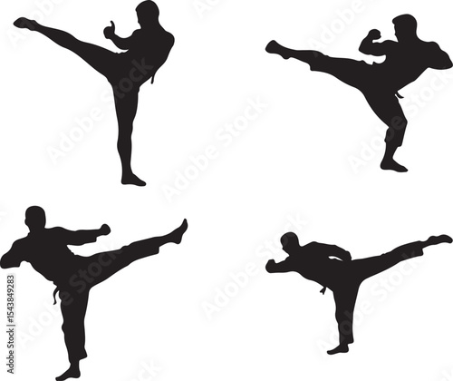 martial arts poses