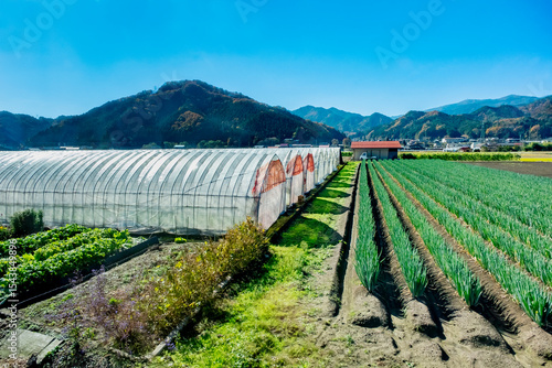 Agricultural farm in the countryside of Japan's seaside