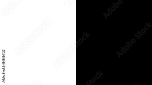 Split screen into black and white vertically
