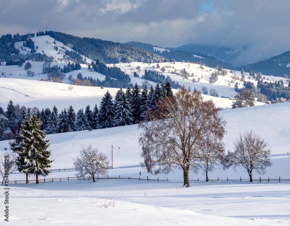 Obraz premium winter landscape with trees in the foreground and hills covered by snow