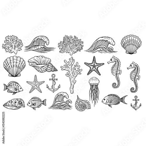 Seashells seahorse starfish anchor ocean waves coral fish jellyfish nautical marine life line art drawing