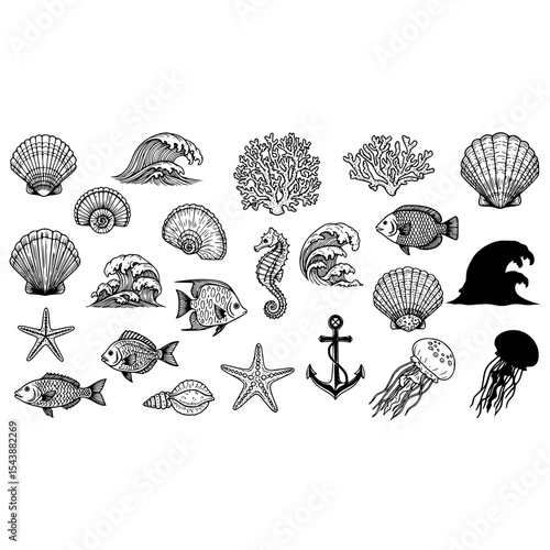 Ocean life sea creatures marine animals underwater world nautical elements vector illustration drawing design