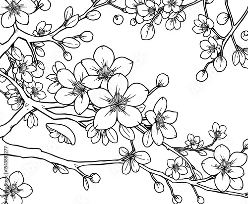 Delicate Cherry Blossom Branches - Spring Floral Line Art