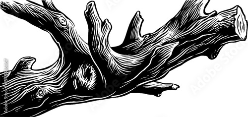 Intricate wooden texture on broken branch with dripping sap for nature design projects