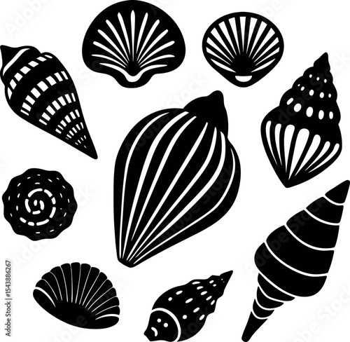hand drawn seashell collection vector Shallotte on white background