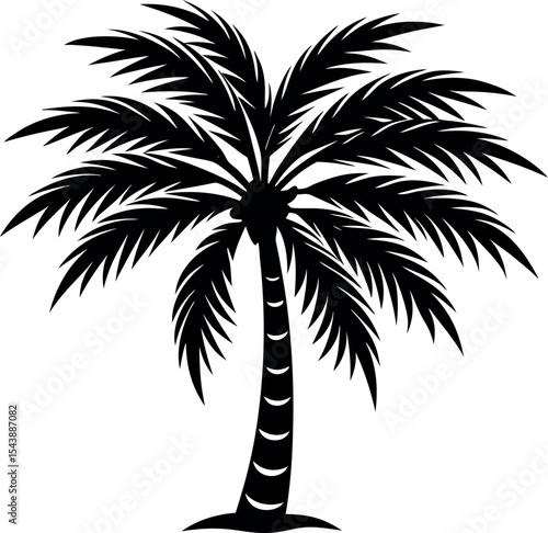 palm tree vector isolated Shallotte on white background
