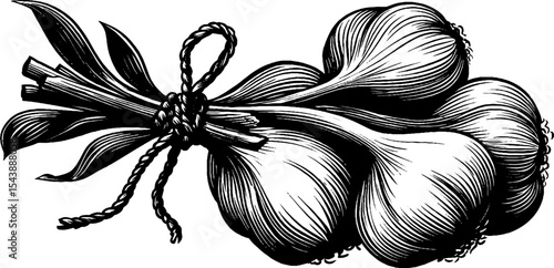 Rustic garlic cluster with twine on black background - vintage design for kitchen decor
