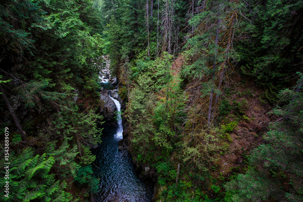 Fototapeta premium Lynn Creek in Lynn Canyon Park, North Vancouver, British Columbia, Canada.