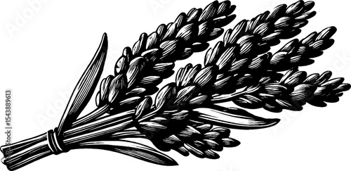 Rustic display of a dried lavender bundle hanging upside down on a black background