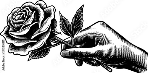 Elegant black and white hand holding blooming rose design for art prints and cards