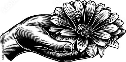 Elegant hand holding flower with graceful fingers - black and white artwork for decoration