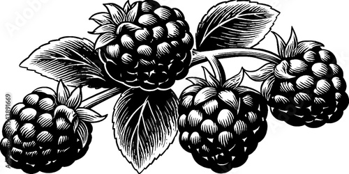 Handful of detailed raspberries with tiny hairs on black background