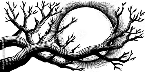 Moon embraced by tree branches with soft glow in night sky