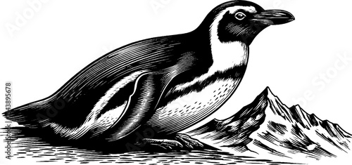 Penguin in monochrome on snowy landscape for nature and wildlife themes