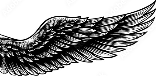 Intricate phoenix wing with flame and smoke trails design for creative projects