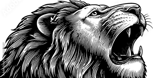 Roaring lion head in black and white woodcut engraving for print and poster design