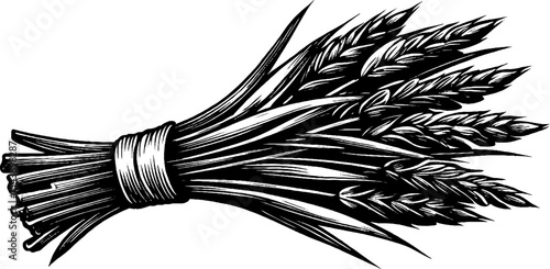 Rustic harvest sheaf of wheat tied with twine in detailed black art for decor