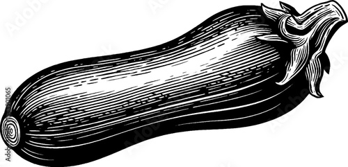 Black and white illustration of sliced zucchini on wooden background for kitchen decor