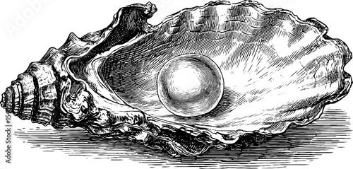 Glimmering pearl inside open seashell vintage design for decor and gifts