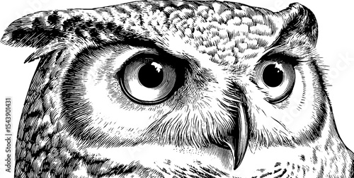 Highly detailed vintage owl with wide eyes in moonlit setting