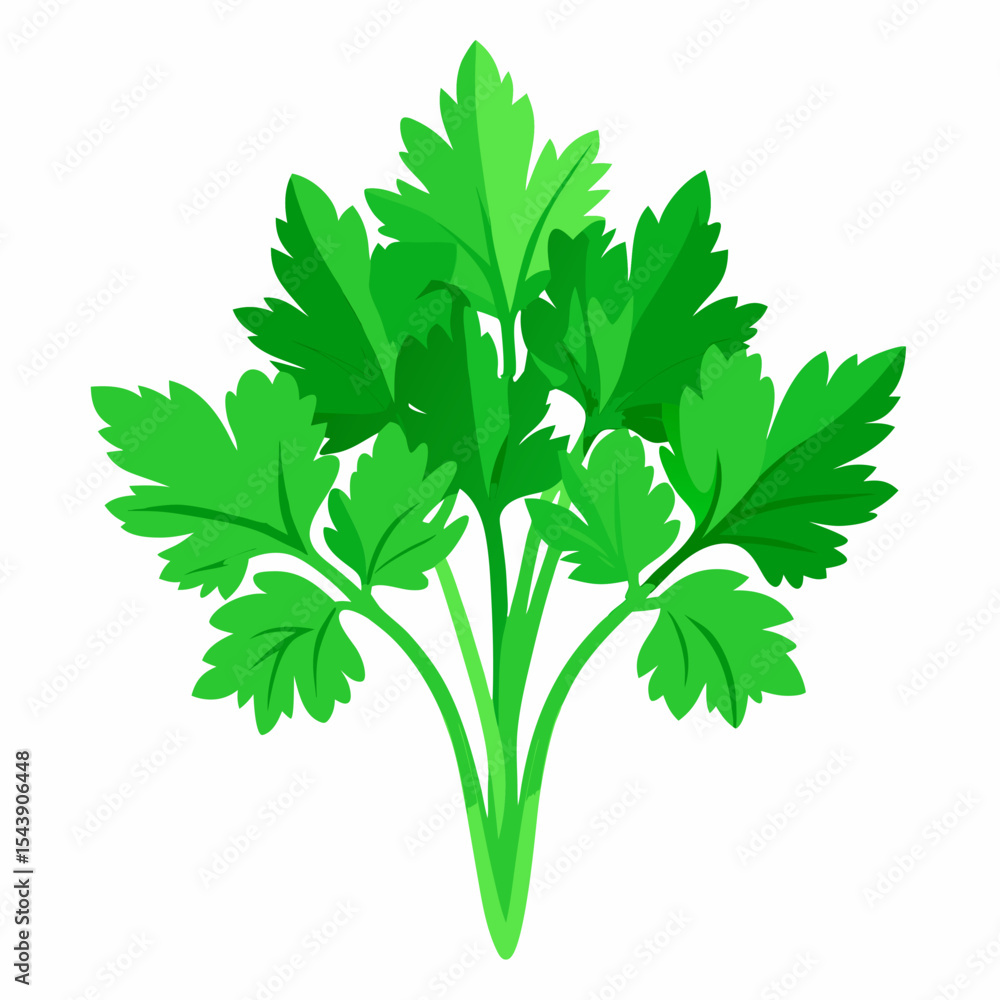 Naklejka premium parsley isolated on white background