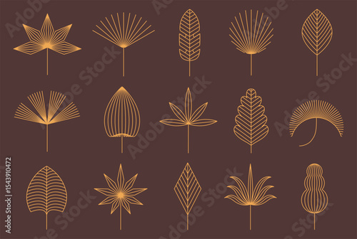 Linear floral boho leaf. Tropical leaves, geometric botanical decor, elegant floral outlines bohemian minimalist line art vector shapes set with editable stroke path.