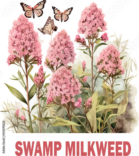 Swamp Milkweed Wildflower Art Print – Monarch Butterfly Pollinator Plant in Wetland Scene Digital Watercolor logo vector .

