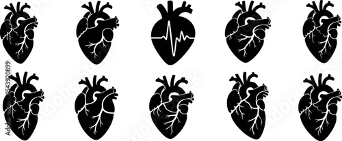 Anatomical heart vector silhouette icon set. heartbeat, cardiovascular, anatomy, medical, health, cardiology illustration, biology, organ, human heart collection.