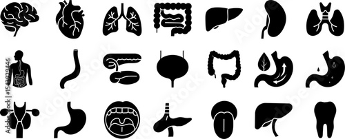 Human Organs Solid Icon Set. Featuring Brain, Heart, Lungs, Stomach, Liver, and More. Editable Filled Symbol Collection.
