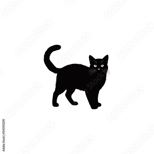 black cat vector illustration detail.ai