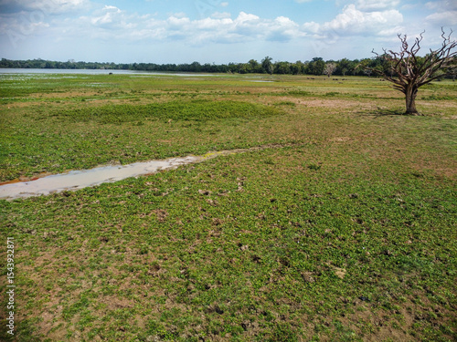 Pottuvil Reserve - Sri Lankan Wildlife Sanctuary