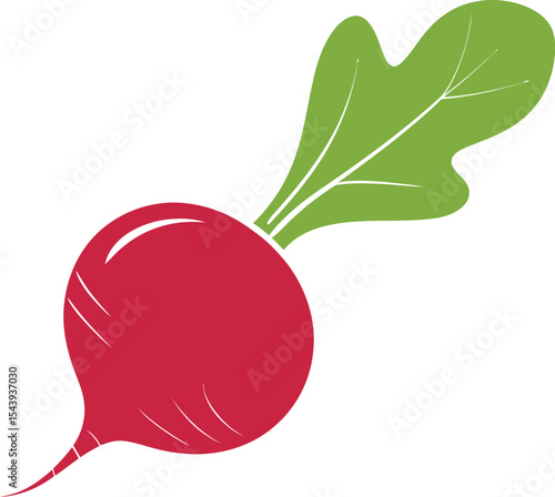 Illustration of a single red radish with a green leaf on a white background