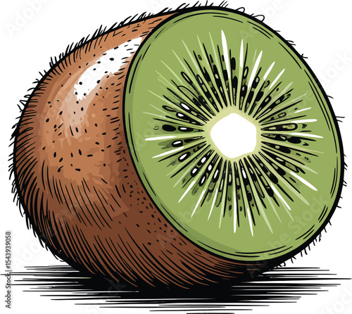 Illustration of a halved kiwi fruit with seeds on a white background art