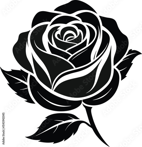 black rose vector illustration