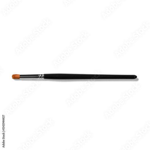 Wallpaper Mural A makeup brush with a tapered tip, designed for precise application of cosmetics. Torontodigital.ca