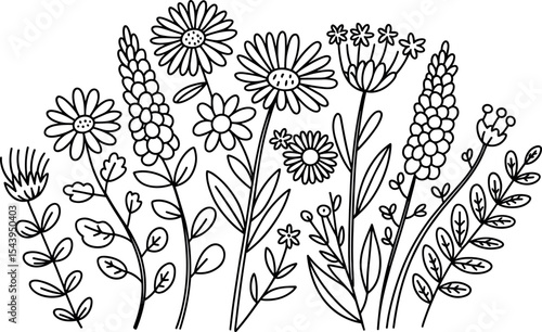 Vector wild herbs and flowers silhouette background. Field with grass and wildflowers isolated on white.