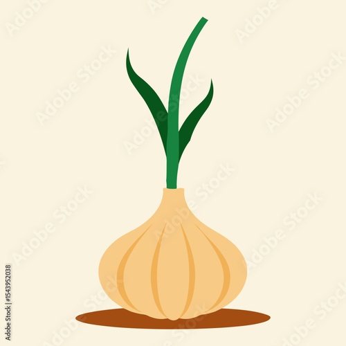 onion and garlic