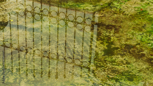 Photo of a decorative wrought iron gate reflection in shallow, algae-filled pond water. Suitable for environmental, heritage, and garden background themes