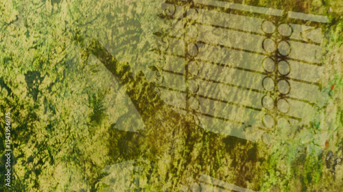 Photo of a decorative wrought iron gate reflection in shallow, algae-filled pond water. Suitable for environmental, heritage, and garden background themes
