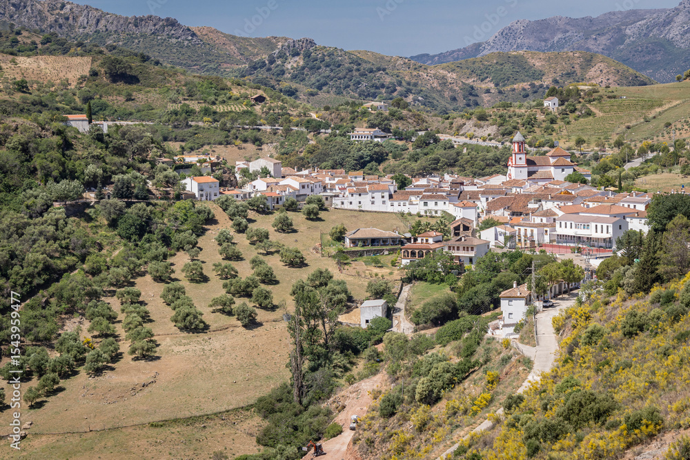 Obraz premium Algatocin, Malaga, Andalusia, Spain. Mountain village.