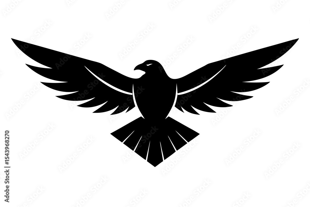 Obraz premium eagle with wings