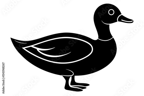 duck isolated on white