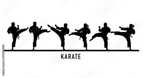 Silhouettes of Karate Practitioners in Dynamic Kicks and Stances