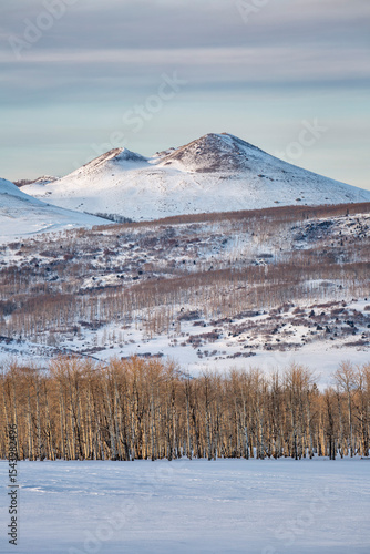 USA, Colorado, San Juan Mountains, Ridgway. Ranchland, aspen trees, and mount...